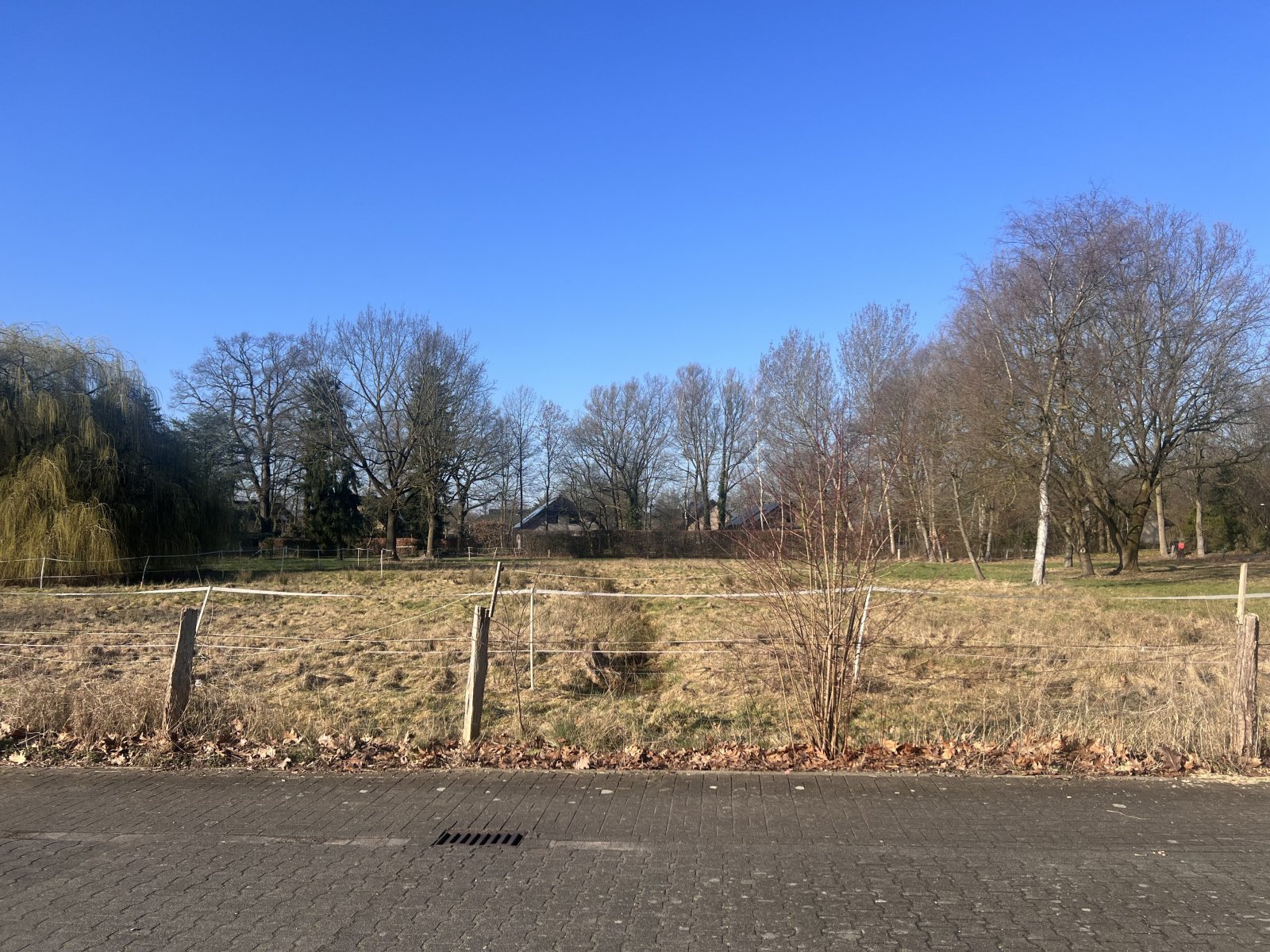 Ruhiges Wohnen mit viel Grün - TOP Wohnlage